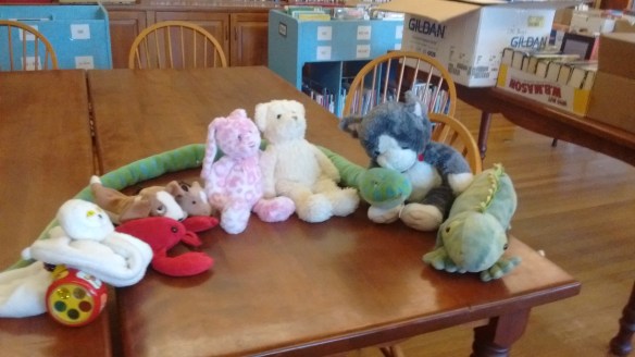 IMG_20160719_181010351