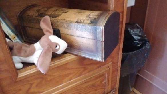 IMG_20160719_181419615