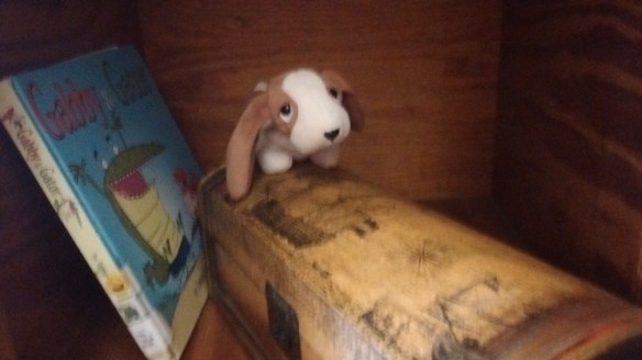 IMG_20160719_181432757