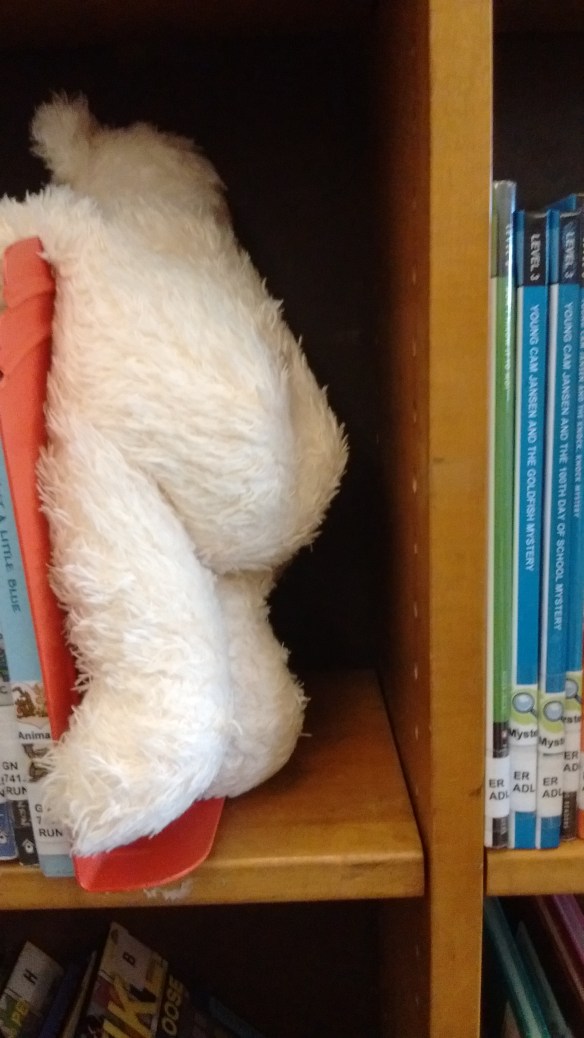 IMG_20160719_182920498