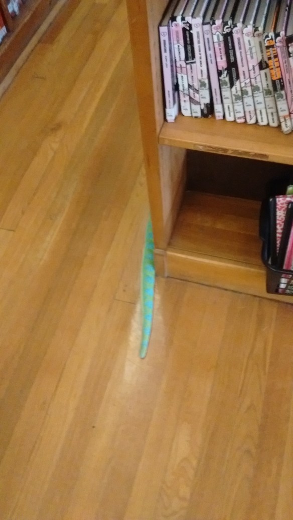 IMG_20160719_183335268