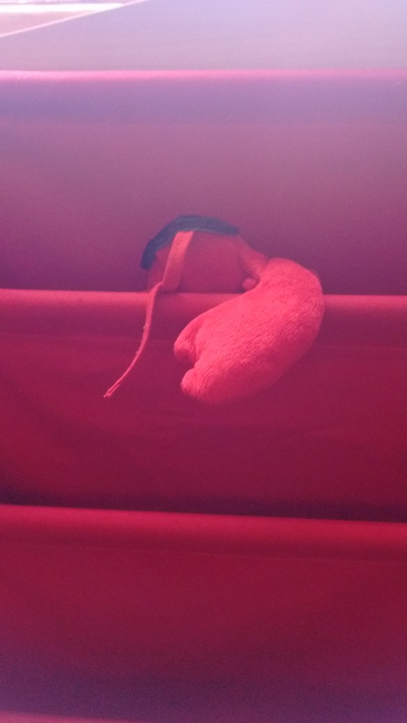 IMG_20160719_183405551