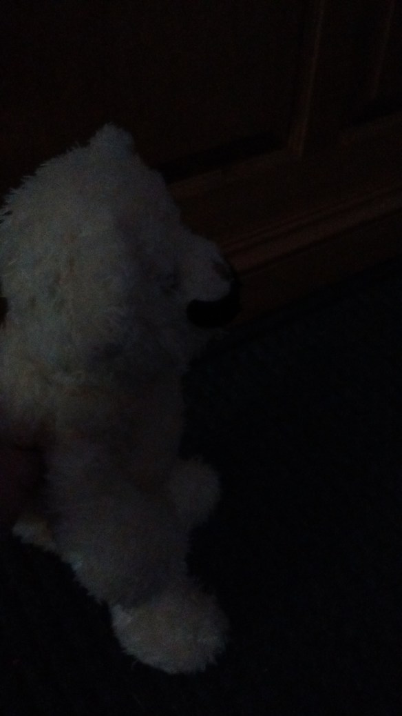 IMG_20160719_184358834