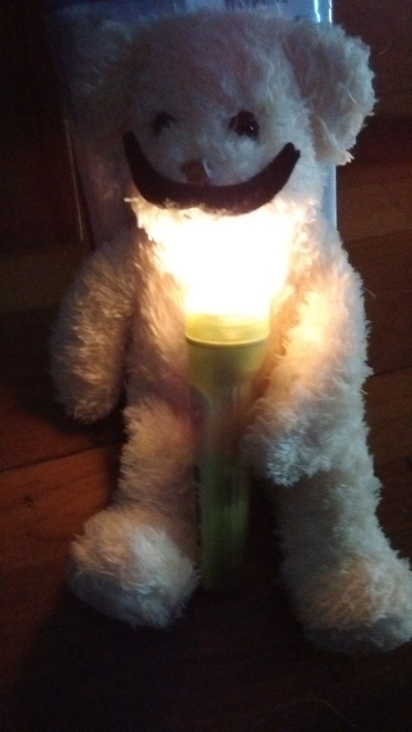 IMG_20160719_184555115