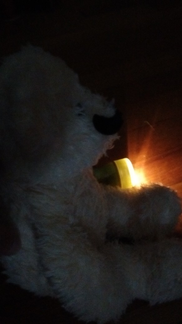 IMG_20160719_184819287