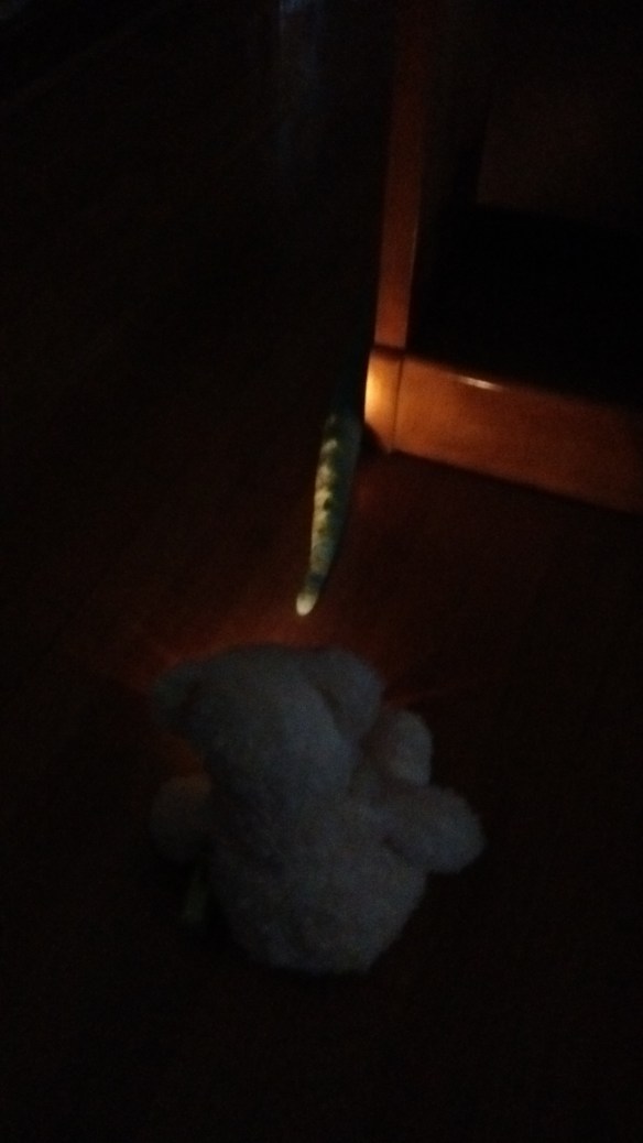 IMG_20160719_184829645