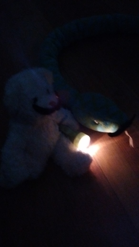 IMG_20160719_184932602