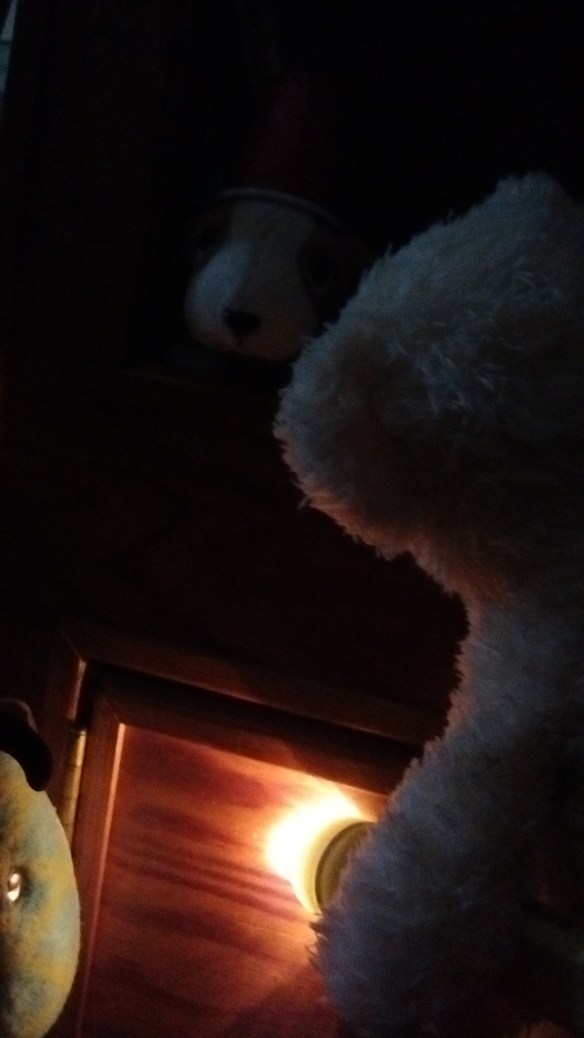 IMG_20160719_185107808