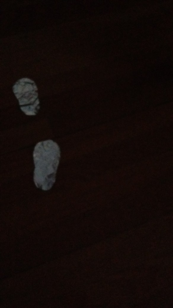 IMG_20160719_185223539