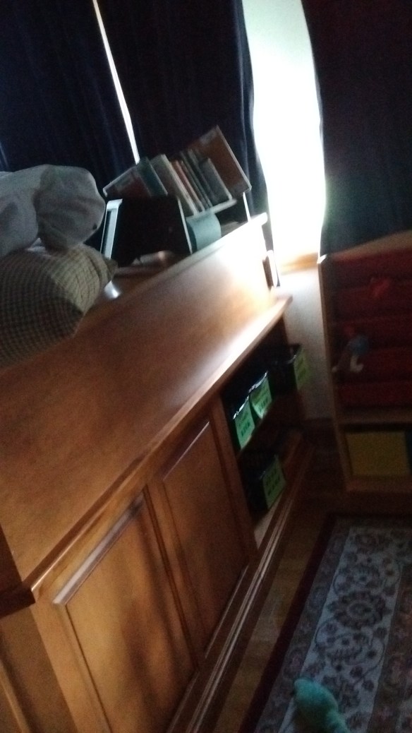 IMG_20160719_185855541