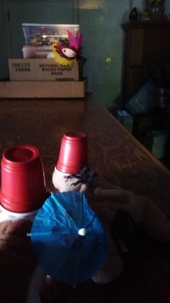 IMG_20160719_190149600