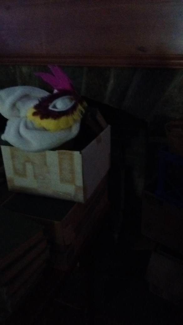 IMG_20160719_190524799