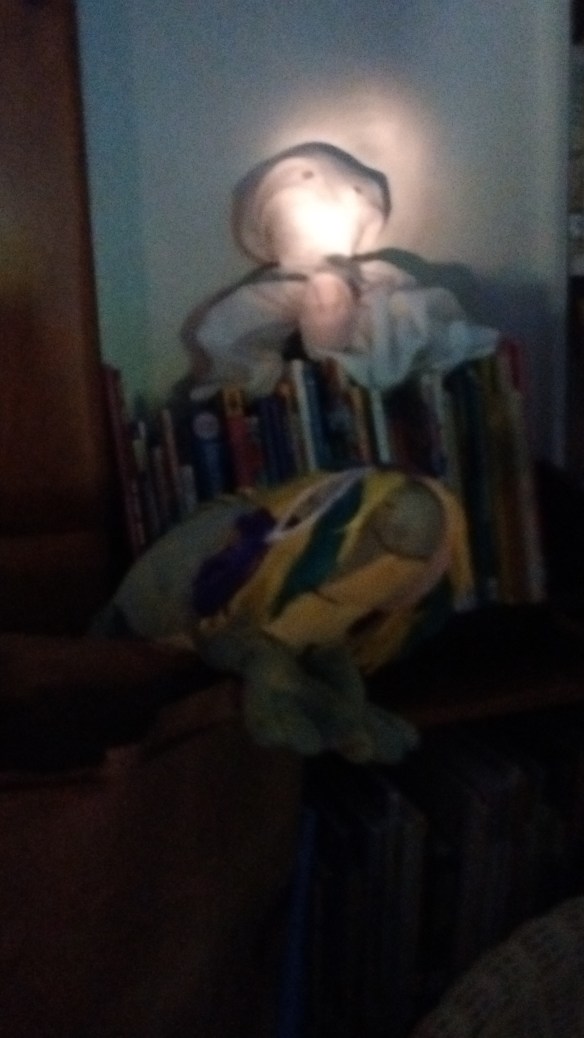 IMG_20160719_190709185