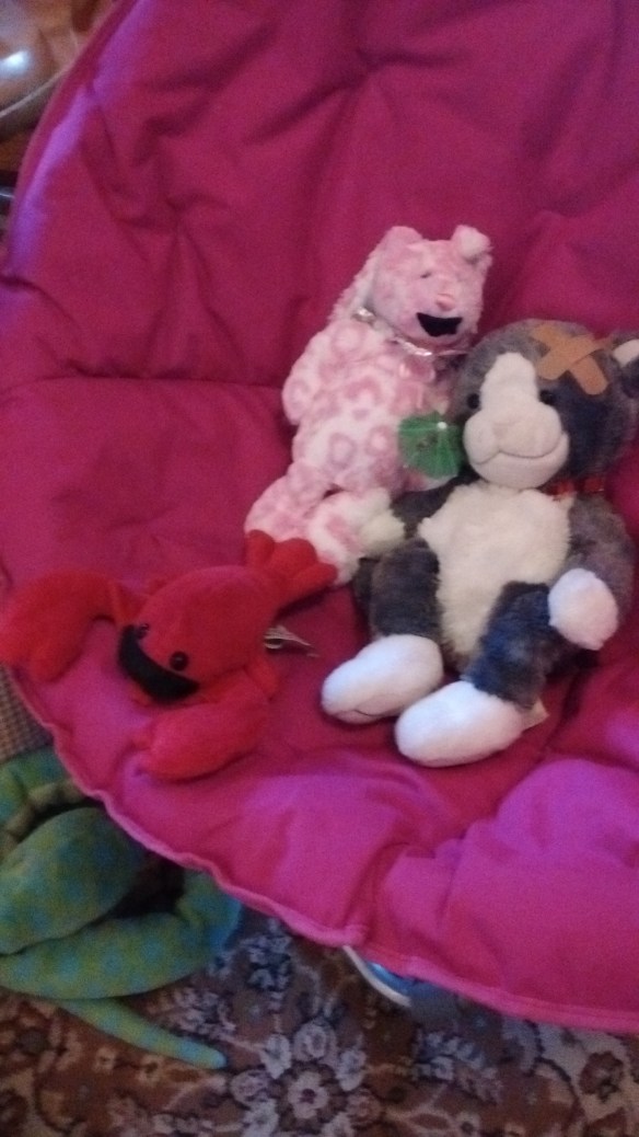 IMG_20160719_192351136