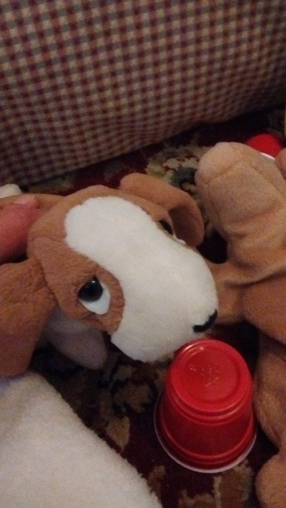 IMG_20160719_192455967