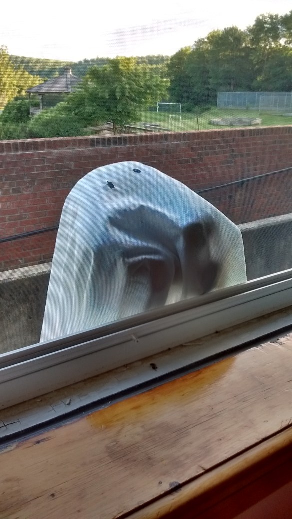 IMG_20160719_192559944_HDR