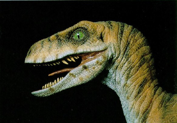 Velociraptor_J01-Dinosaur-Face_ec42